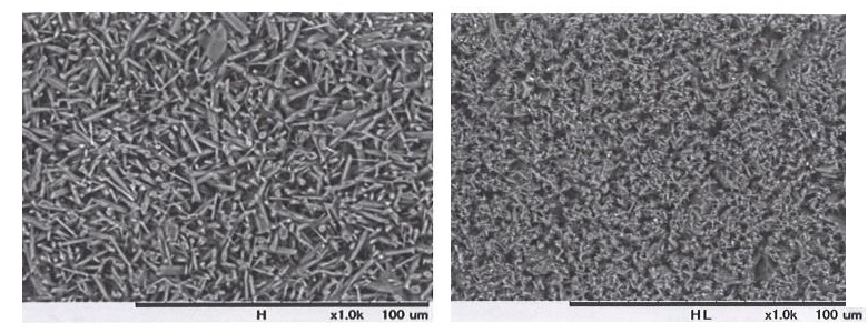 硬石膏（ニュープラストーンII、左図）、および同硬石膏に石膏スラリーを約1%添加して練和した石膏硬化体（右図）のSEM(走査型電子顕微鏡）像の比較（1000倍）。